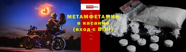 прущие грибы Балахна