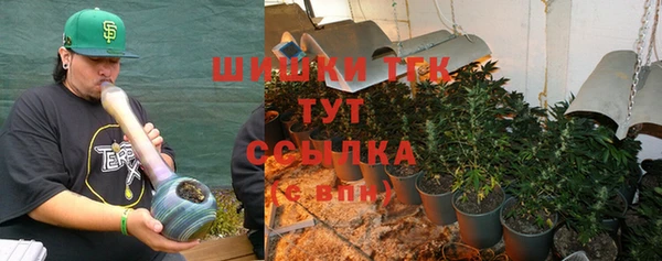 прущие грибы Балахна