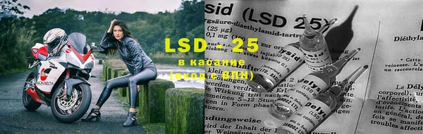 прущие грибы Балахна