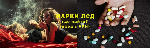 прущие грибы Балахна