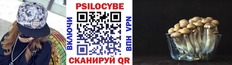 Псилоцибиновые грибы Cubensis купить закладку Солигалич